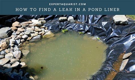 using milk to find leak in pond liner|How to Find Pond Leaks (Plus 5 Causes)